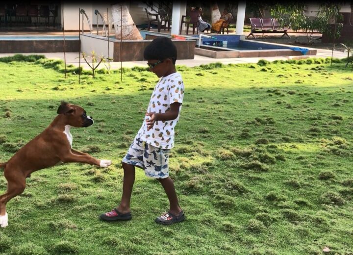 If you are looking for a Pet friendly resort in Coimbatore, look no further ! You found the best pet friendly resort