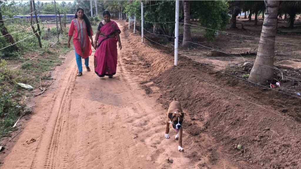 Pet friendly resort in Coimbatore